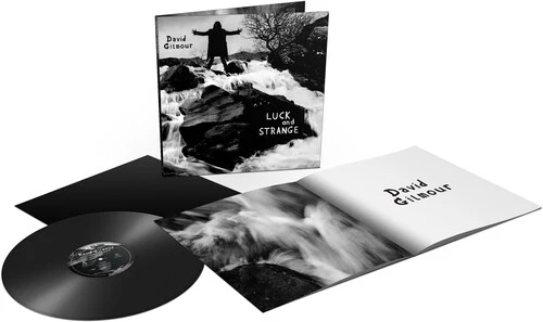 Gilmour, David - Luck and Strange - Image 2
