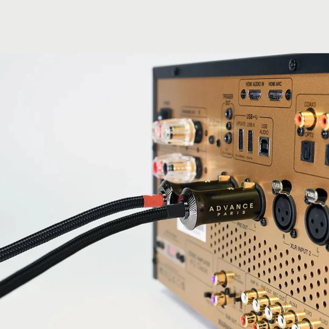 Advance Paris Link XLR Interconnect - Image 3